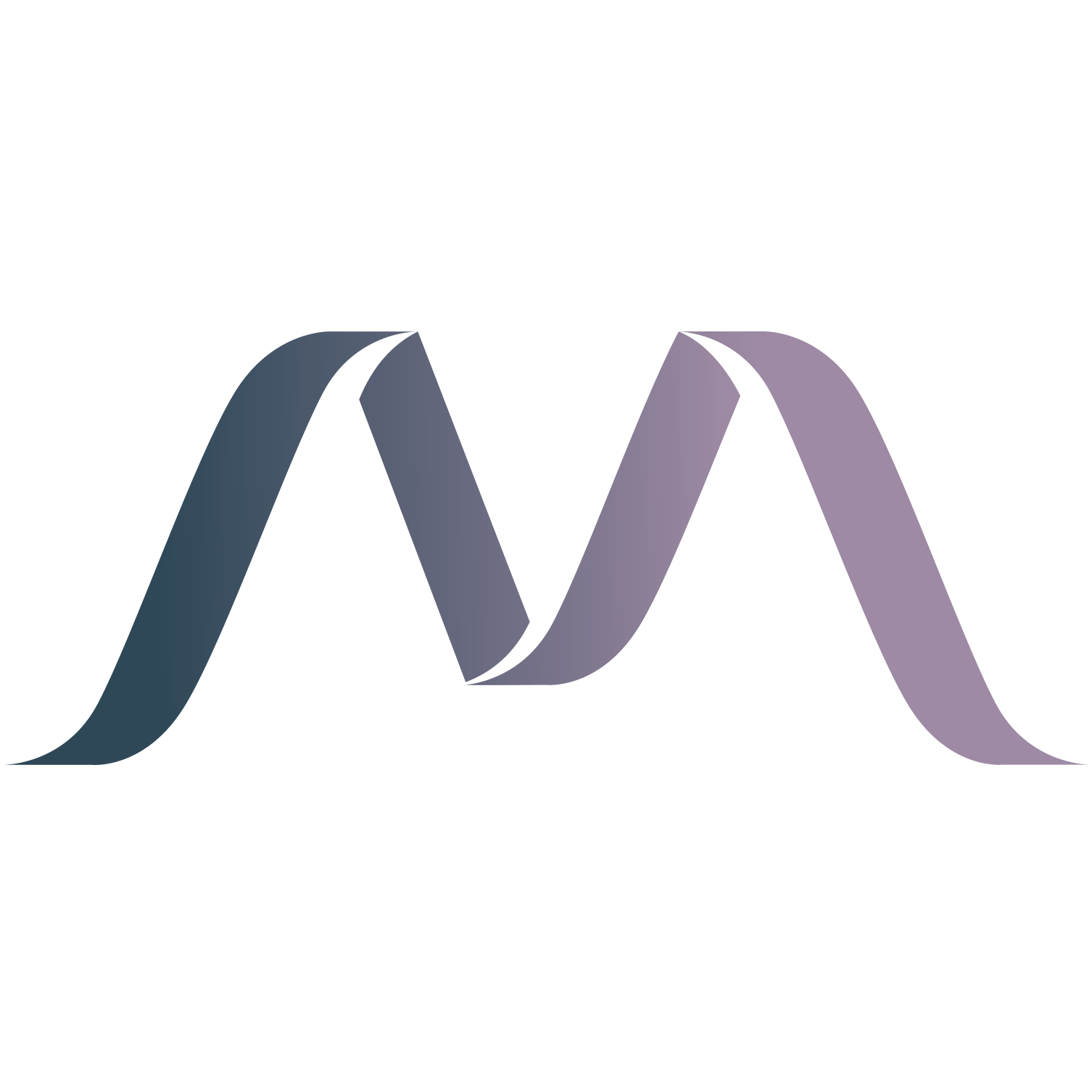 Maya Information Systems Ltd